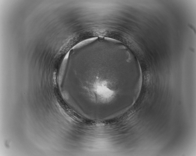 X0000102540598200808291843