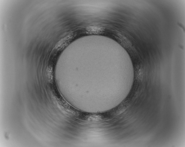 X0000102540599200808291843