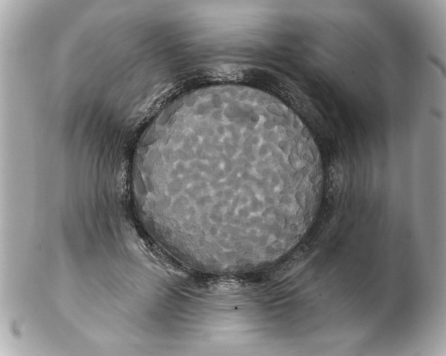 X0000102540600200808291843