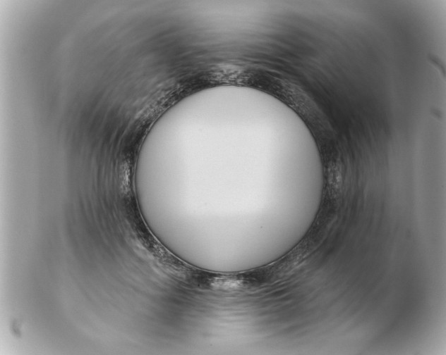 X0000102540602200808291843