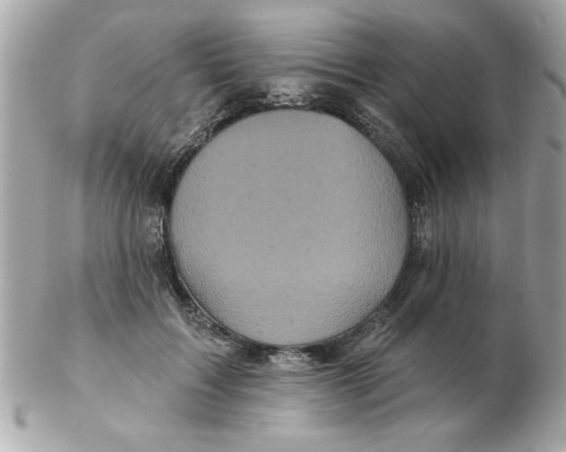 X0000102540603200808291843