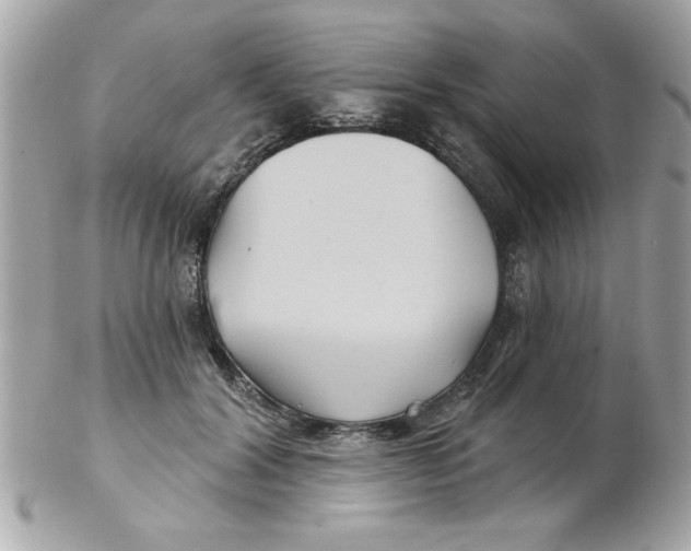 X0000102540604200808291843