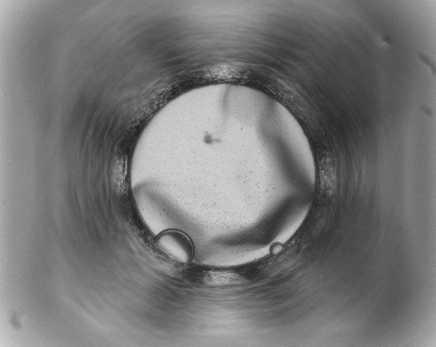 X0000102540605200808291843