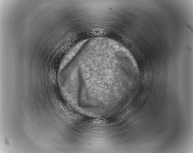 X0000102540606200808291843