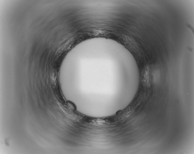 X0000102540607200808291843