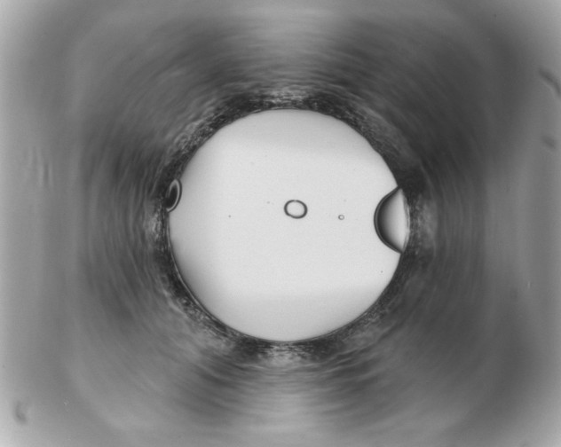 X0000102540608200808291843