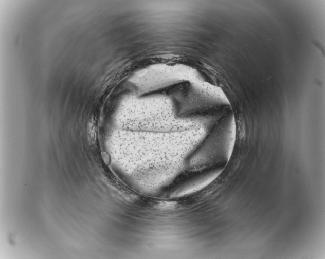 X0000102540609200808291843