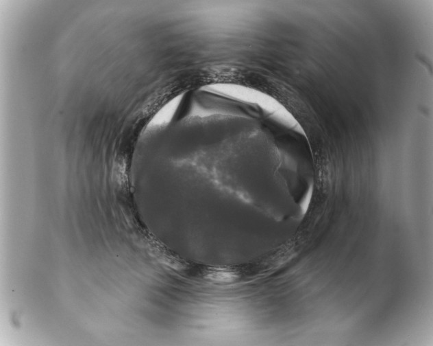 X0000102540610200808291843