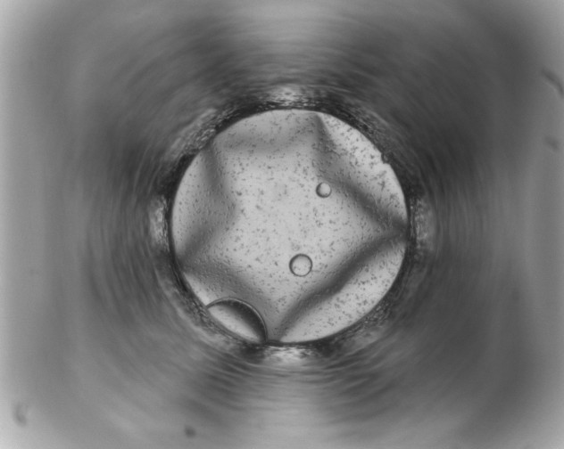 X0000102540611200808291843