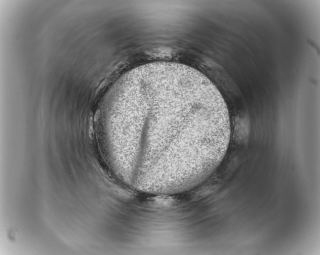 X0000102540612200808291843