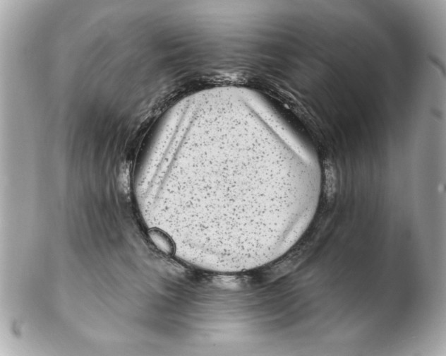 X0000102540613200808291843