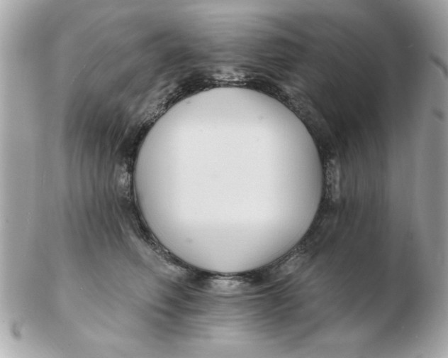 X0000102540614200808291843