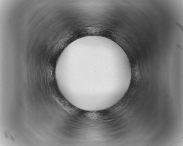 X0000102540615200808291843