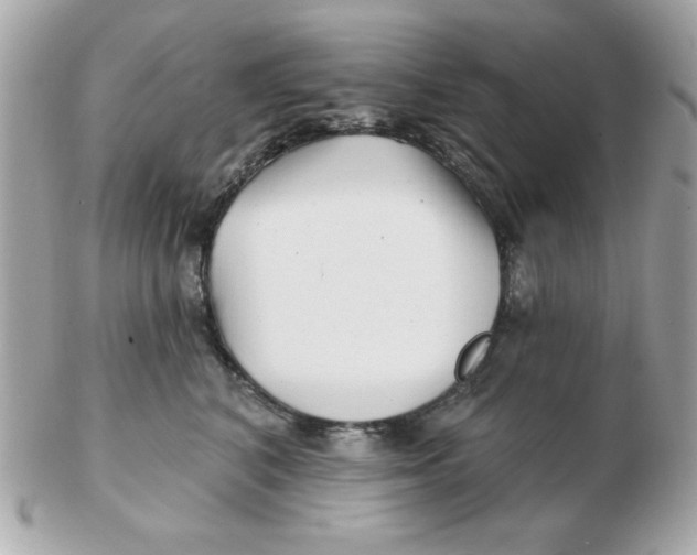 X0000102540616200808291843