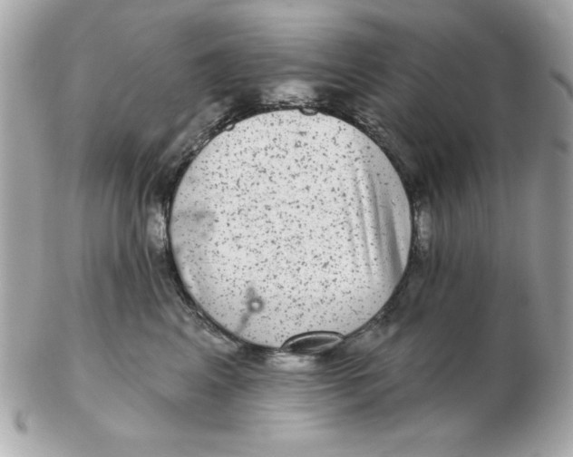 X0000102540617200808291843