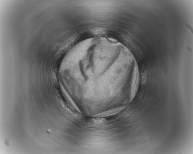 X0000102540618200808291843