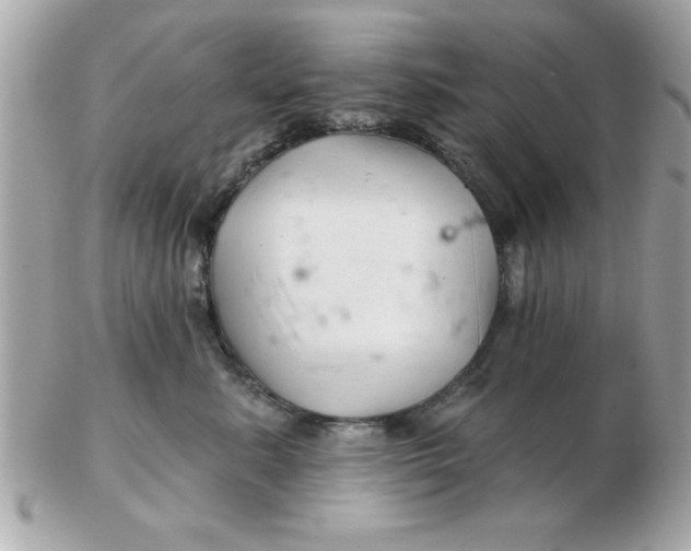 X0000102540619200808291843