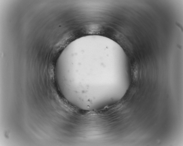 X0000102540620200808291843