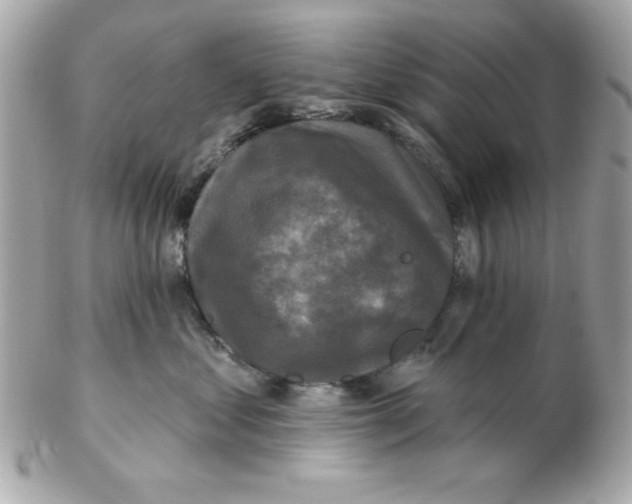 X0000102540621200808291843