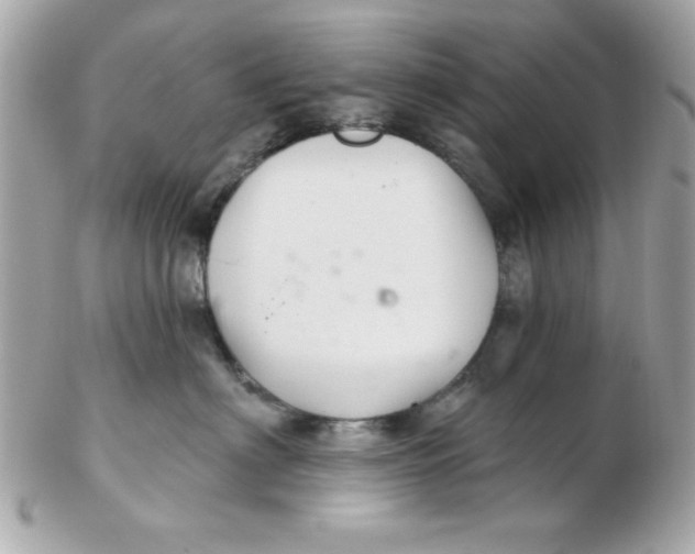 X0000102540622200808291843