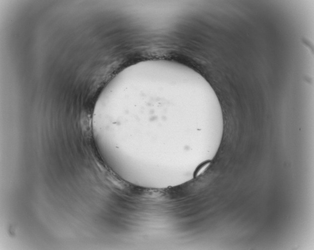 X0000102540624200808291843