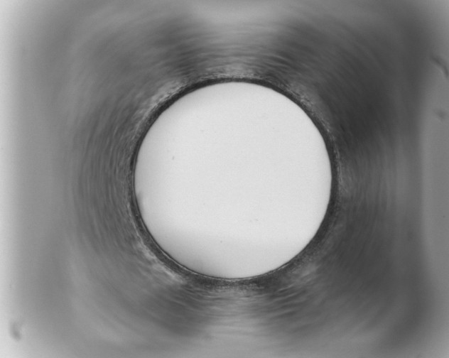 X0000102540625200808291842