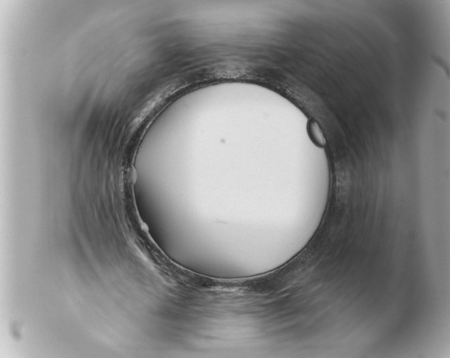 X0000102540626200808291842