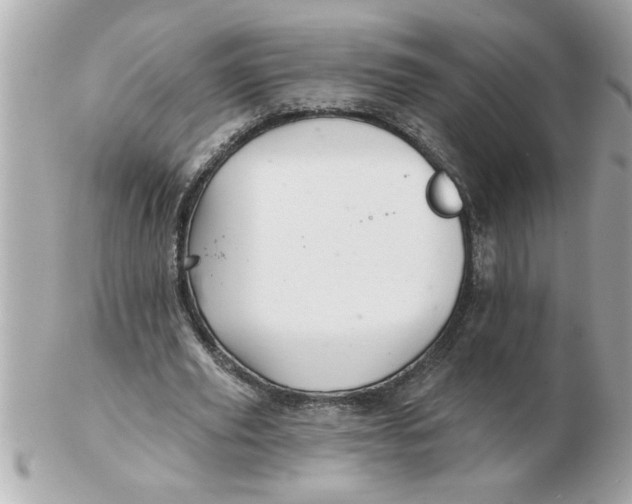 X0000102540629200808291842