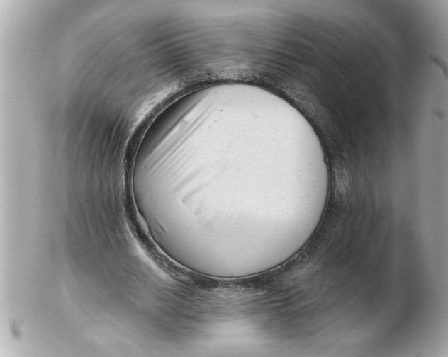 X0000102540630200808291842