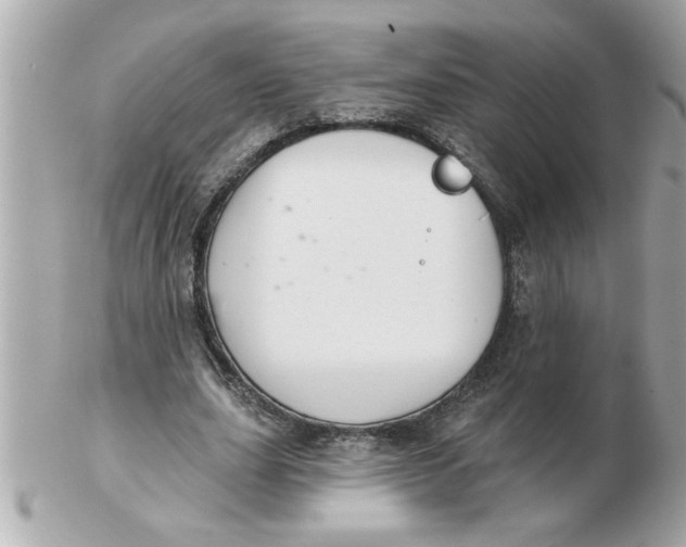 X0000102540631200808291842