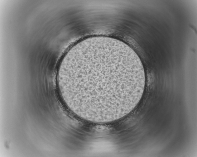 X0000102540632200808291842