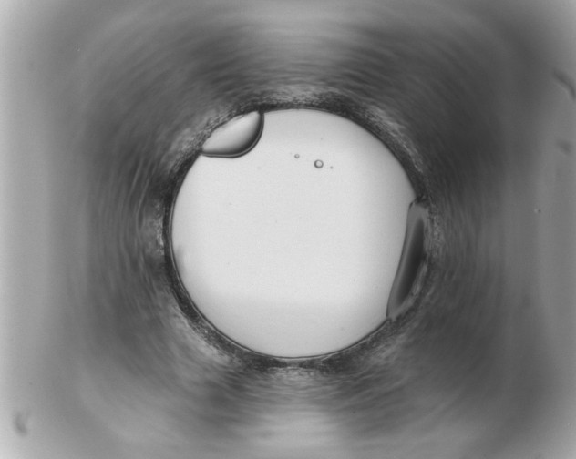 X0000102540633200808291843