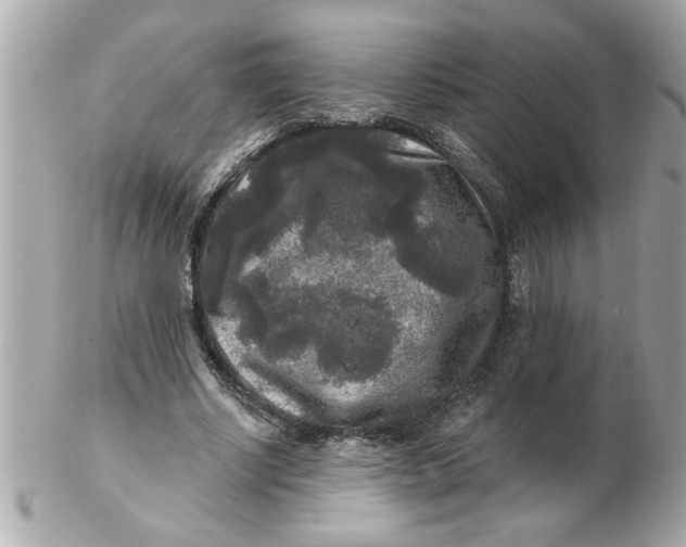 X0000102540634200808291843