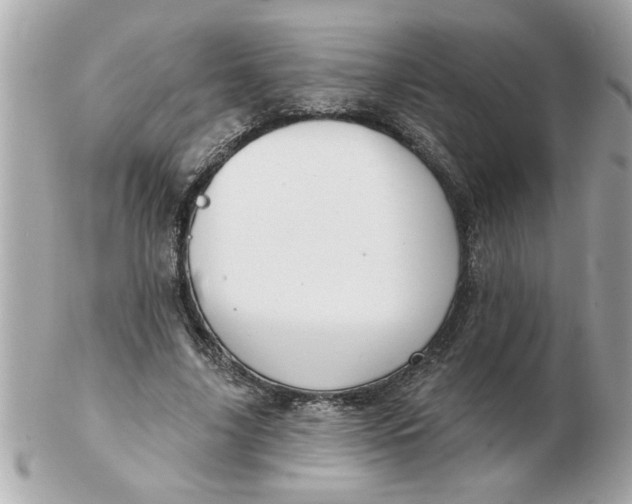 X0000102540635200808291843