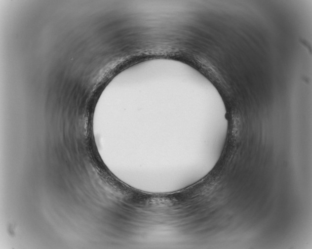 X0000102540636200808291843