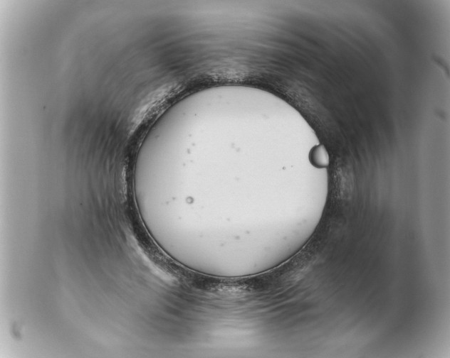 X0000102540638200808291843