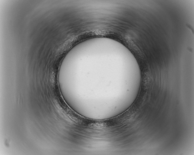 X0000102540639200808291843