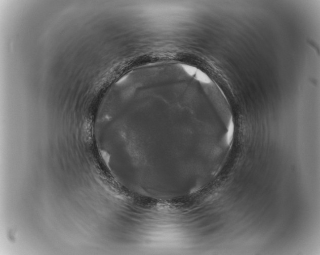 X0000102540641200808291843