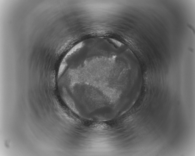 X0000102540642200808291843