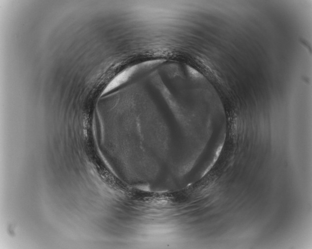 X0000102540643200808291843