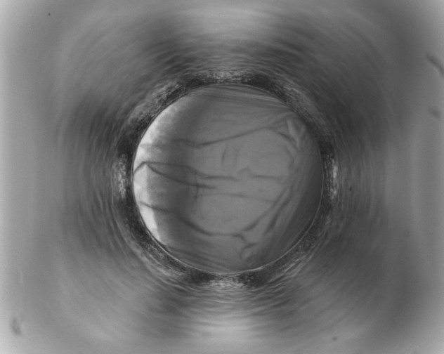 X0000102540644200808291843