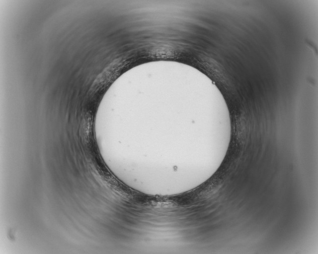 X0000102540645200808291843