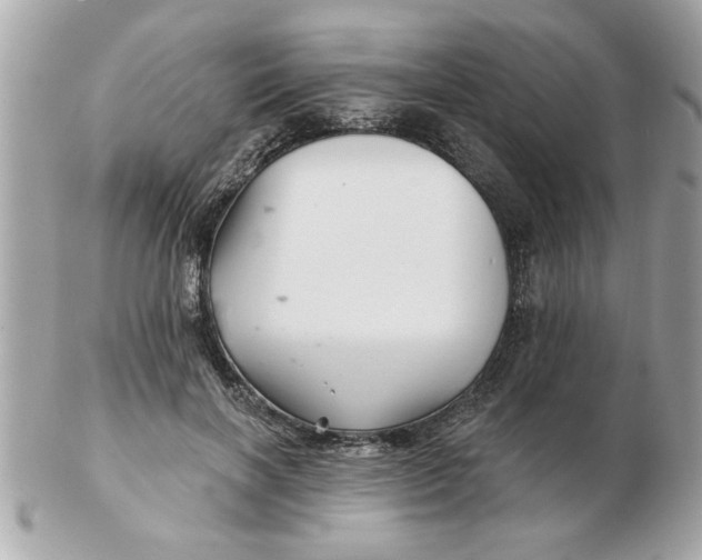 X0000102540646200808291843