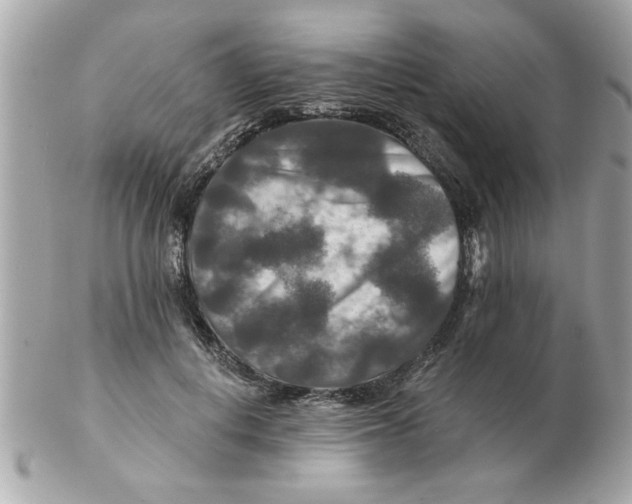 X0000102540648200808291843