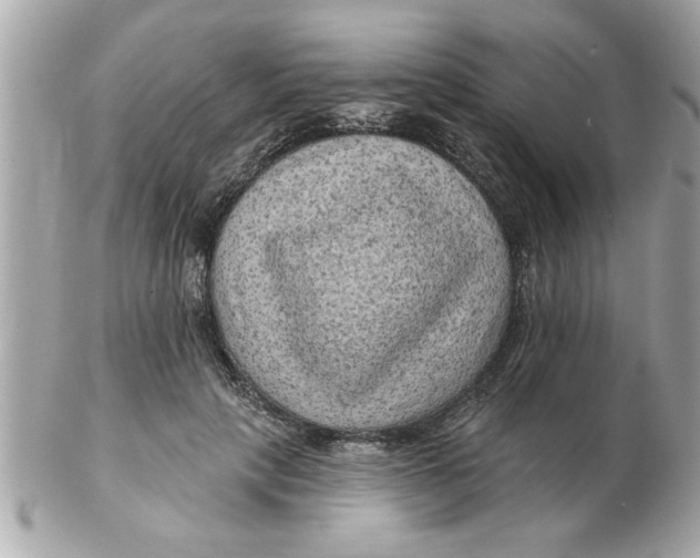 X0000102540649200808291843