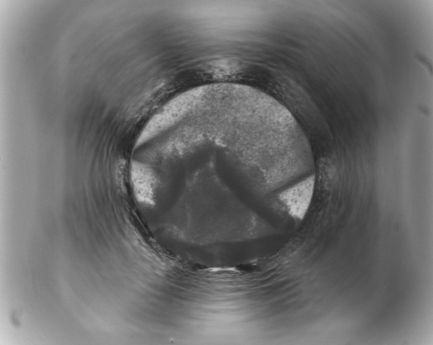 X0000102540650200808291843