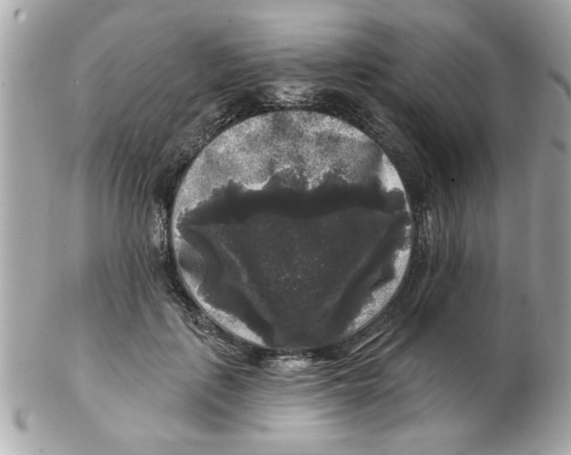 X0000102540651200808291843