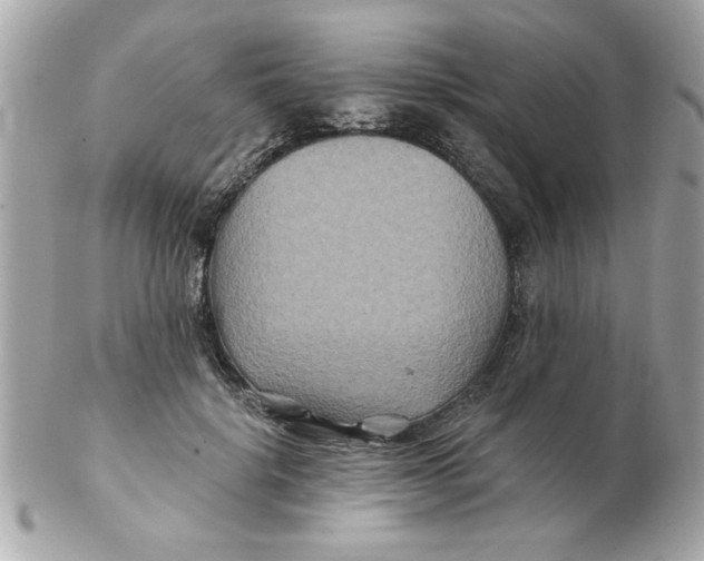 X0000102540652200808291843