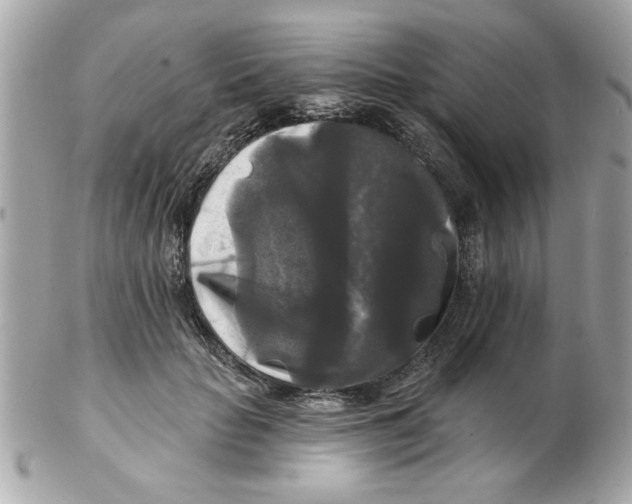 X0000102540653200808291843