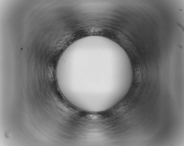 X0000102540654200808291843